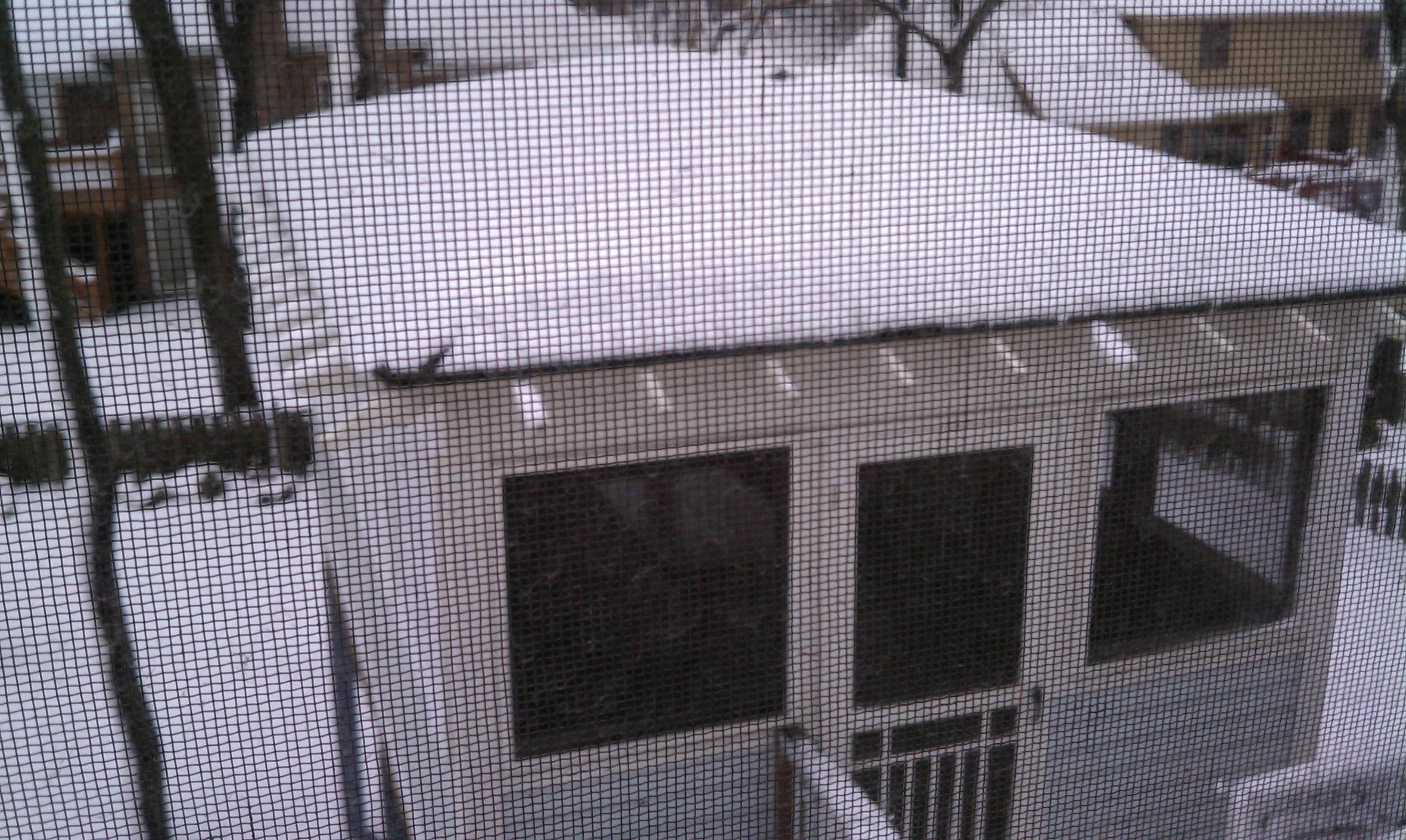 My sun porch looks as bereft as I feel