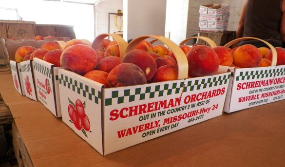 Peaches from Schreiman Orchard