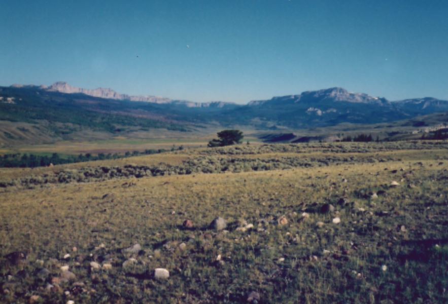 View from Absaroka Ranch