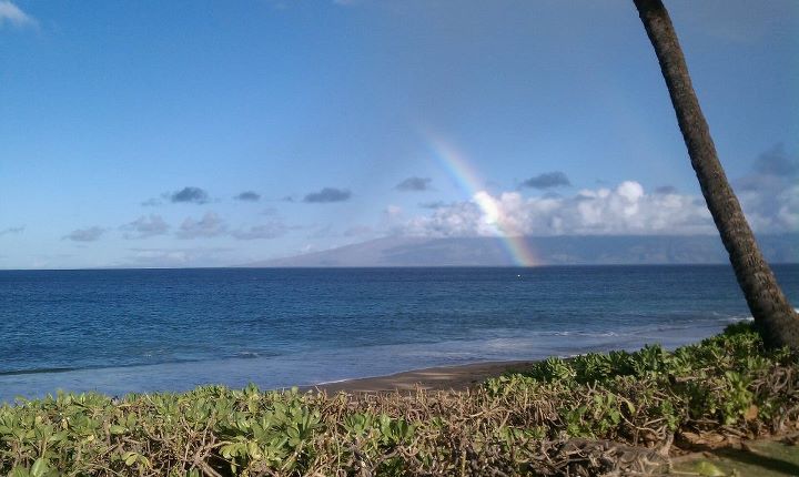 Maui rainbow at breakfast one morning