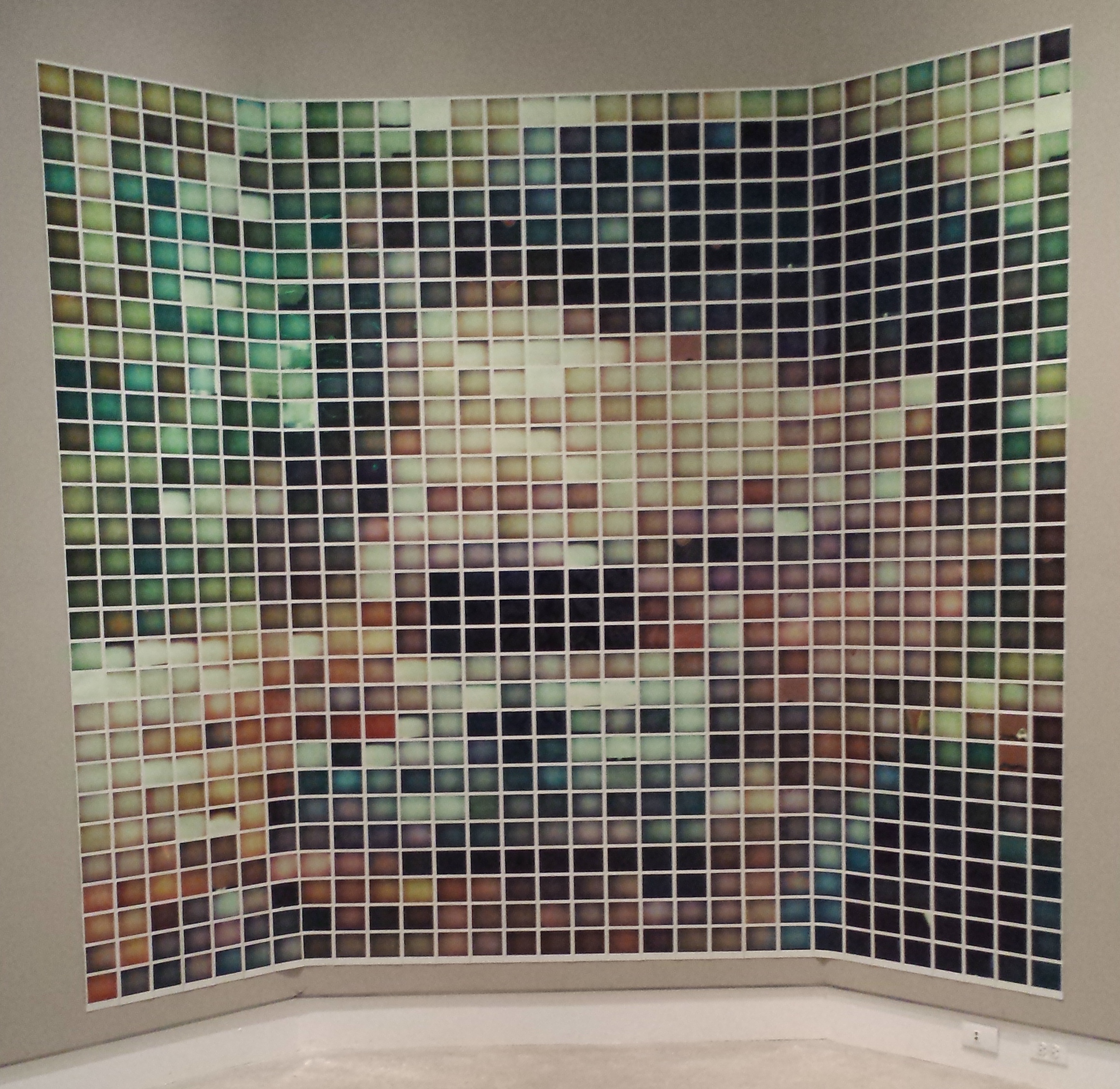 Matthew Brandt, Polaroid exhibit, Norton Museum of Art