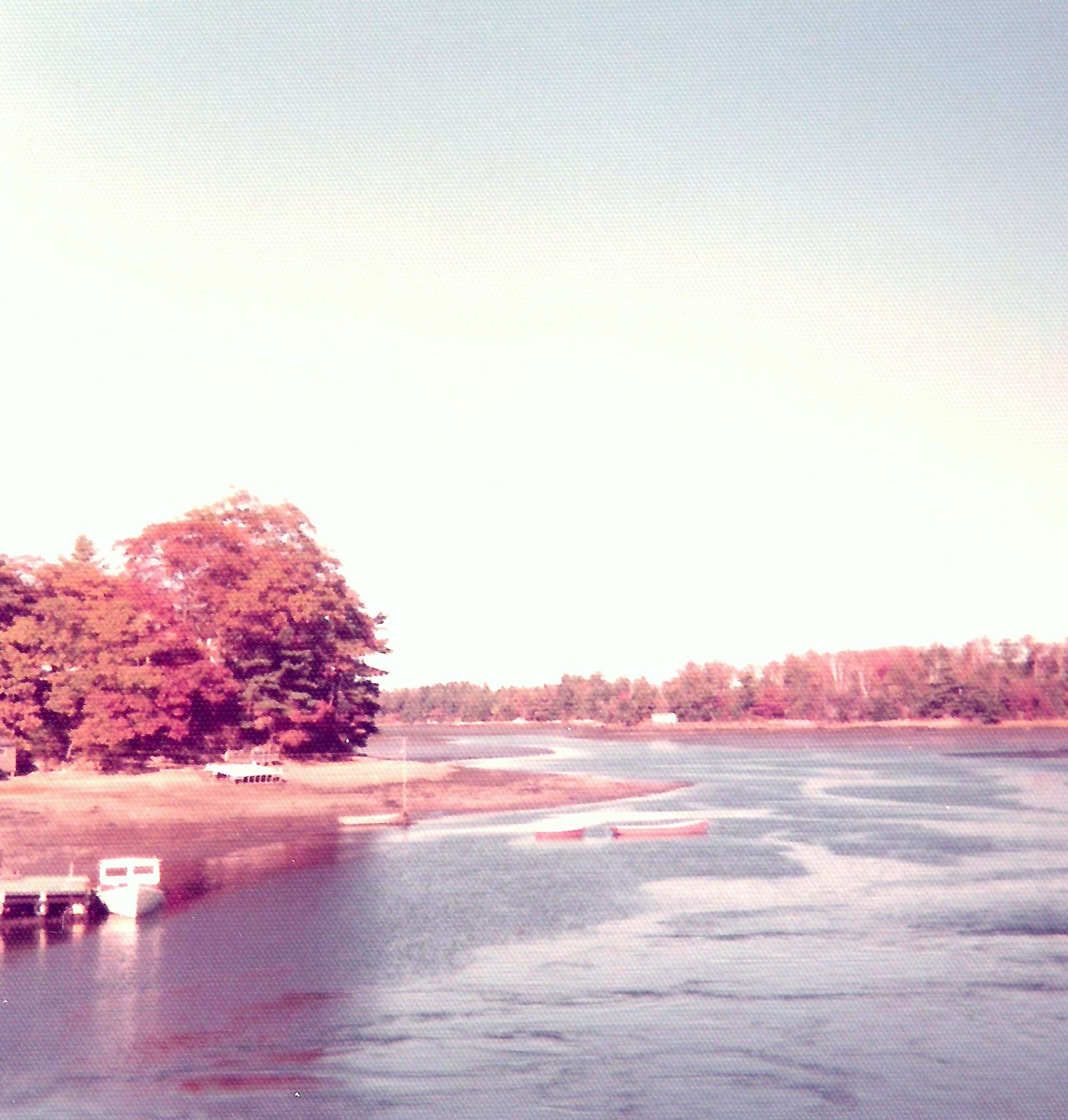 Maine tidal flats, October 1974. Unfortunately, the picture doesn't do the colors justice.
