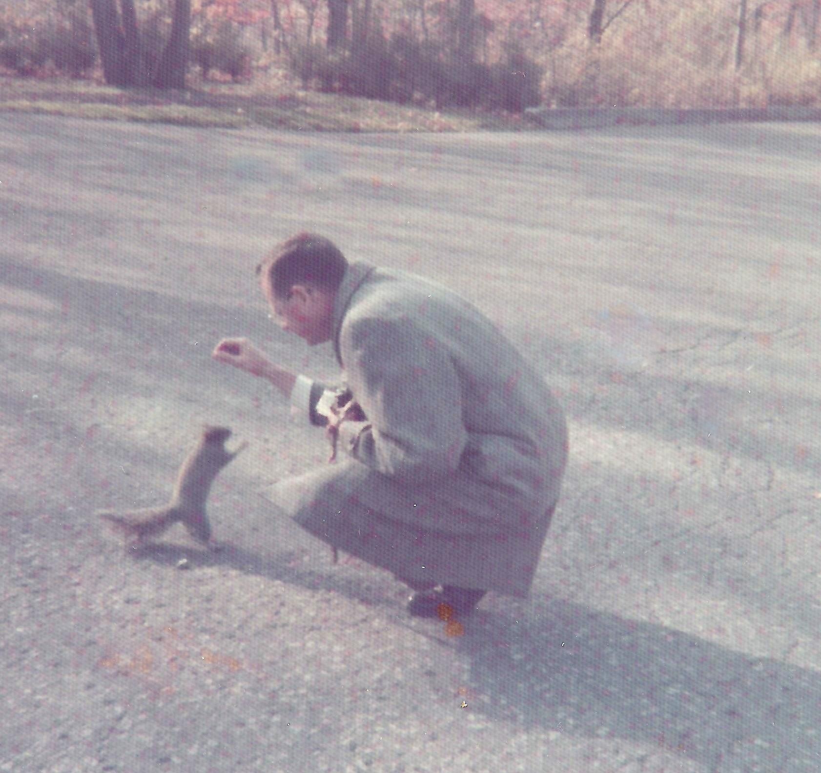 My father feeding a tame squirrel in Montreal, October 1973